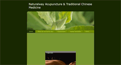 Desktop Screenshot of naturalwaychineseacupuncture.com